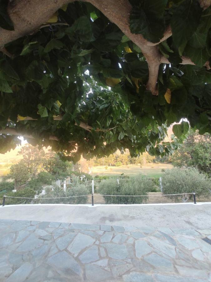 House Moschα Villa Andros Town Ngoại thất bức ảnh