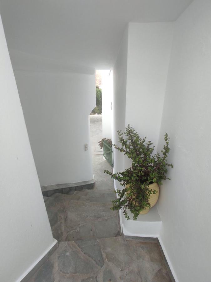 House Moschα Villa Andros Town Ngoại thất bức ảnh
